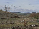 Intenzivn tba zmnila rz krajiny teba pod rozhlednou Horn les u Rovenho...