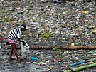 ena sbírá plastové kelímky na behu eky Pasig v Manile na Filipínách. (2021)
