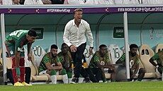 Trenér Saudské Arábie Herve Renard b�hem zápasu s Mexikem.