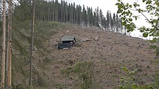 Pes milion kubík deva vytil za prvních deset msíc letoního roku ze...