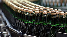 Stá�ecí linka ve Starém Plzenci. (30. listopadu 2022)