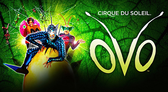 OVO pedstavení od Cirque du Soleil
