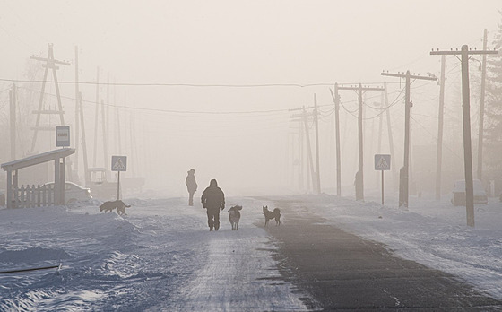 Mu obklopen toulavými psy nedaleko ruského Jakutska (27. listopadu 2018)