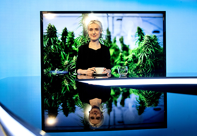 Češi by si mohli legálně koupit marihuanu od roku 2024, říká Michailidu