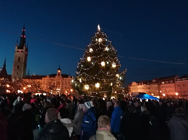 <p>Překrásný vánoční strom na náměstí v Čáslavi darovaný z Lovčic.</p>