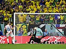 Chorvat Nikola Vlai bezpen promuje penaltu proti Brazíli.