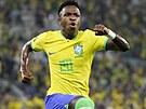 Brazilský kídelník Vinícius Junior se raduje ze svého gólu proti Koreji v...