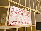Vznice Bory v Plzni (6. prosince 2022)