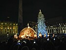 Vánoční stromek na náměstí ve Vatikánu (3. prosince 2022)