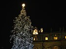 Vánoní stromek na námstí ve Vatikánu (3. prosince 2022)