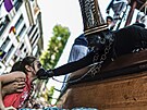 UNESCO stáhlo tradiní prvod obr v belgickém mst Ath ze seznamu nehmotného...