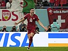 Srbský stelec Duan Vlahovi se raduje z gólu do sít výcarska v utkání na...
