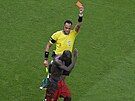 Kamerunský Vincent Aboubakar za svou oslavu gólu do sít Brazílie na...