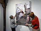 Instalace výstavy G4 výro�ní zpráva 1985�2022 v chebské Galerii 4 (29. 11. 2022)