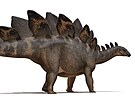 Vyobrazení Sophie, subadultního exempláe druhu Stegosaurus stenops. Pi...