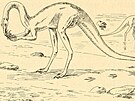 Zástupci skupiny Ornithomimidae byli jednmi z prvních neptaích dinosaur, u...