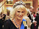 Královna cho Camilla na recepci pro diplomaty v Buckinghamském paláci (Londýn,...