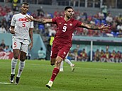 Srbský střelec Aleksandar Mitrovič se raduje z gólu od sítě Švýcarska v utkání...