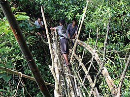 Místní z vesnice Rangthylliang opravují koenové mosty.