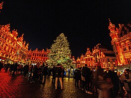 V srdci belgického Bruselu na námstí Grande-Place stojí mohutný strom. Okolní...
