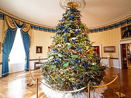 V Modrém pokoji stojí hlavní vánoní strom Bílého domu. Letos je to jedle...