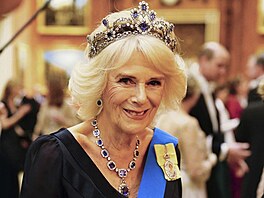 Královna cho Camilla na recepci pro diplomaty v Buckinghamském paláci (Londýn,...