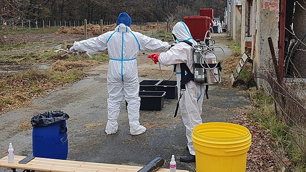 Veterin��i utrat� 15 tis�c kachen z chovu firmy Mavela Dyn�n ve Frahel�i.