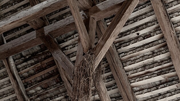 Farní stodola ve Velkém Ořechově vznikla v první polovině 18. století a v současnosti je značně zchátralá. Čeká ji však záchrana.