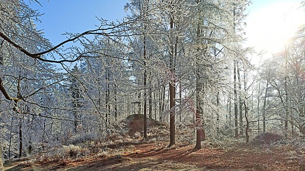 Zmek Kynvart a zmeck park na zatku zimy v prosinci 2022.
