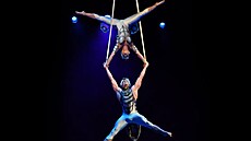 Z pedstavení OVO od Cirque du Soleil
