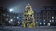Svátení atmosféru dopluje rozsvícený vánoní strom umístný vedle barokní...