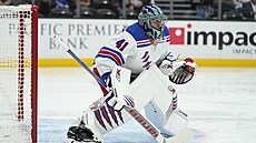 Jaroslav Halák v brance New York Rangers.