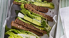 Sendvi� s avok�dem a nakl�danou cibulkou