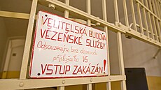 V�znice Bory v Plzni (6. prosince 2022)