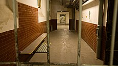 Věznice Bory v Plzni (6. prosince 2022)