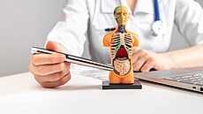 ilustra�ní snímek