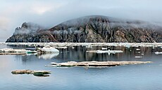 Wrangelův ostrov leží v Severním ledovém oceánu 140 km od ruského pobřeží. Nemá...