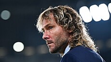 Pavel Nedvd (2022)