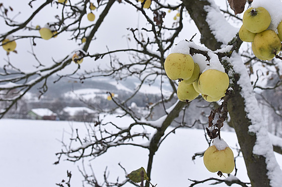 ilustra�ní snímek