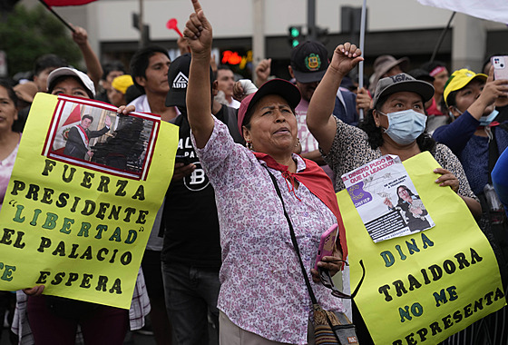 Peruántí demonstranti se stetli s policií. V ulicích ádali vypsání nových...