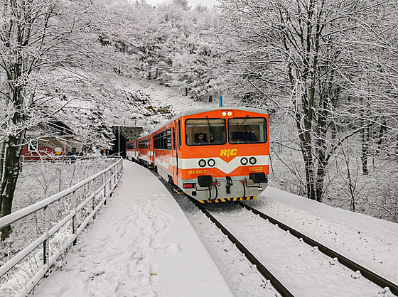 Souprava spole�nosti Railway Capital v �ele s motorovým vozem �ady 811 SK p�i...