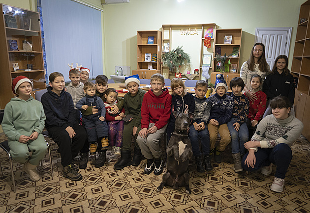 Terapeut vrtící ocáskem. Ukrajinským dětem pomáhá z traumat pitbulteriér Bice