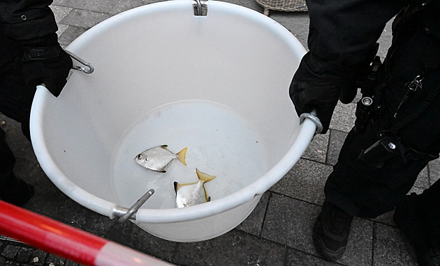 Z obrovského prasklého akvária v Berlíně se podařilo zachránit desítky ryb