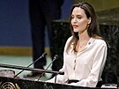 Hereka Angelina Jolie na pd OSN v beznu 2019