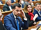 Slovenská snmovna hlasuje o nedve vlád. (15. prosince 2022)
