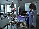 Vánoní chemický stromeek byl k vidní v sokolovském chemickém centru projektu...