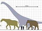 Sauropodi svými rozmry výrazn pekonávají vechny ostatní obí zástupce...