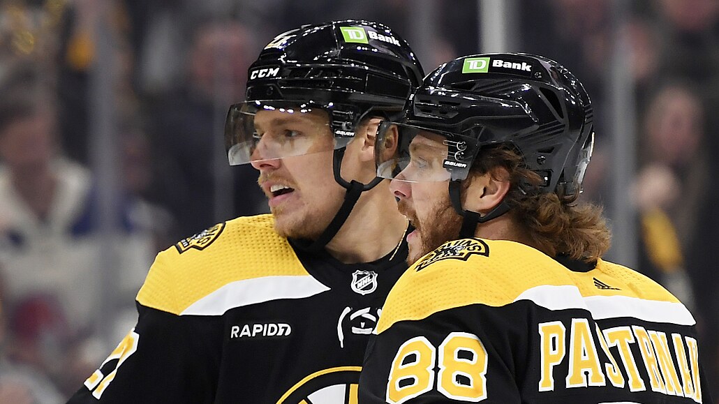 Hampus Lindholm a David Pastr�ák oslavují gól Bostonu.