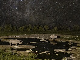 Ceny odborné poroty  kategorie Vda fotogenická - 3. cena: Pod africkým nebem...