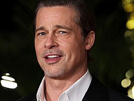 Brad Pitt (Los Angeles, 15. prosince 2022)